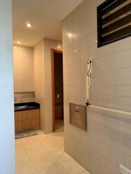 Ardmore Park (D10), Condominium #507464801